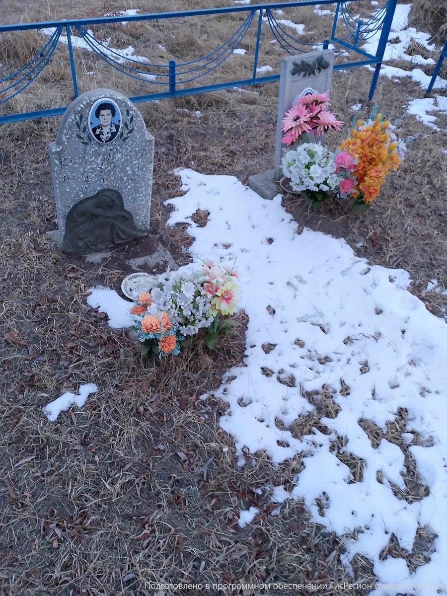 2552173e-5bba-4725-a5fd-13516c24d2e7 Быкова Наталья Александровна