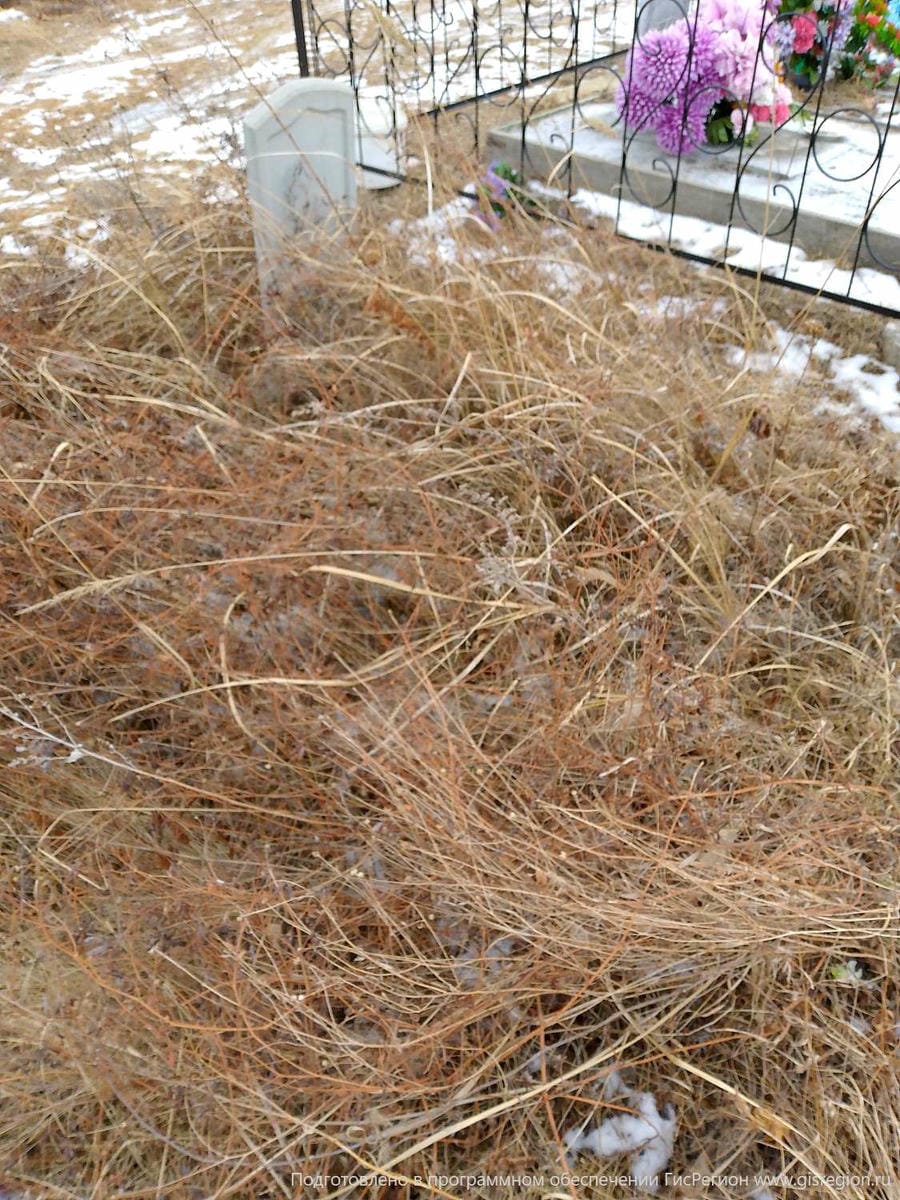 294a5ab5-08dc-4813-9a1f-211cfc2c64f2 Неизвестно Неизвестно Неизвестно