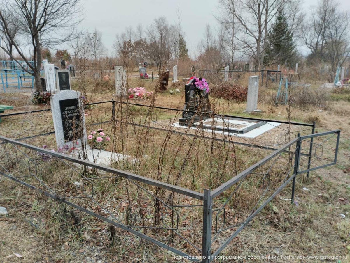 Левин Александр Иванович