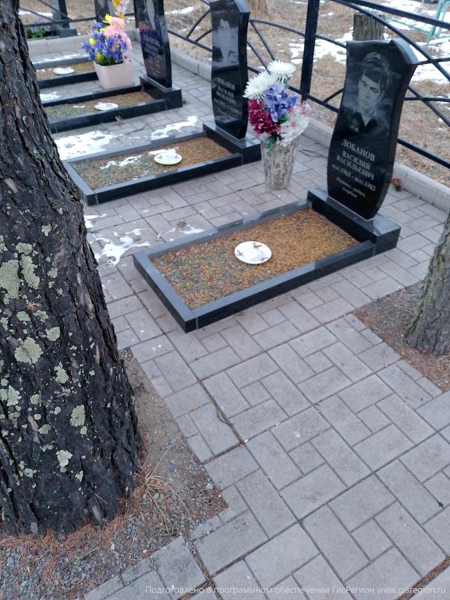 31f5e162-1c18-41e8-b029-55bd280ceeb4 Лобанова Татьяна Васильевна