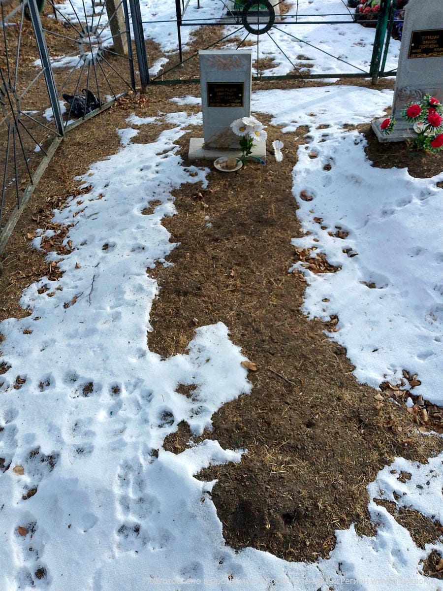 331eeb0a-5df4-46c4-b08d-86520bd50721 Виноградов Дмитрий Сергеевич