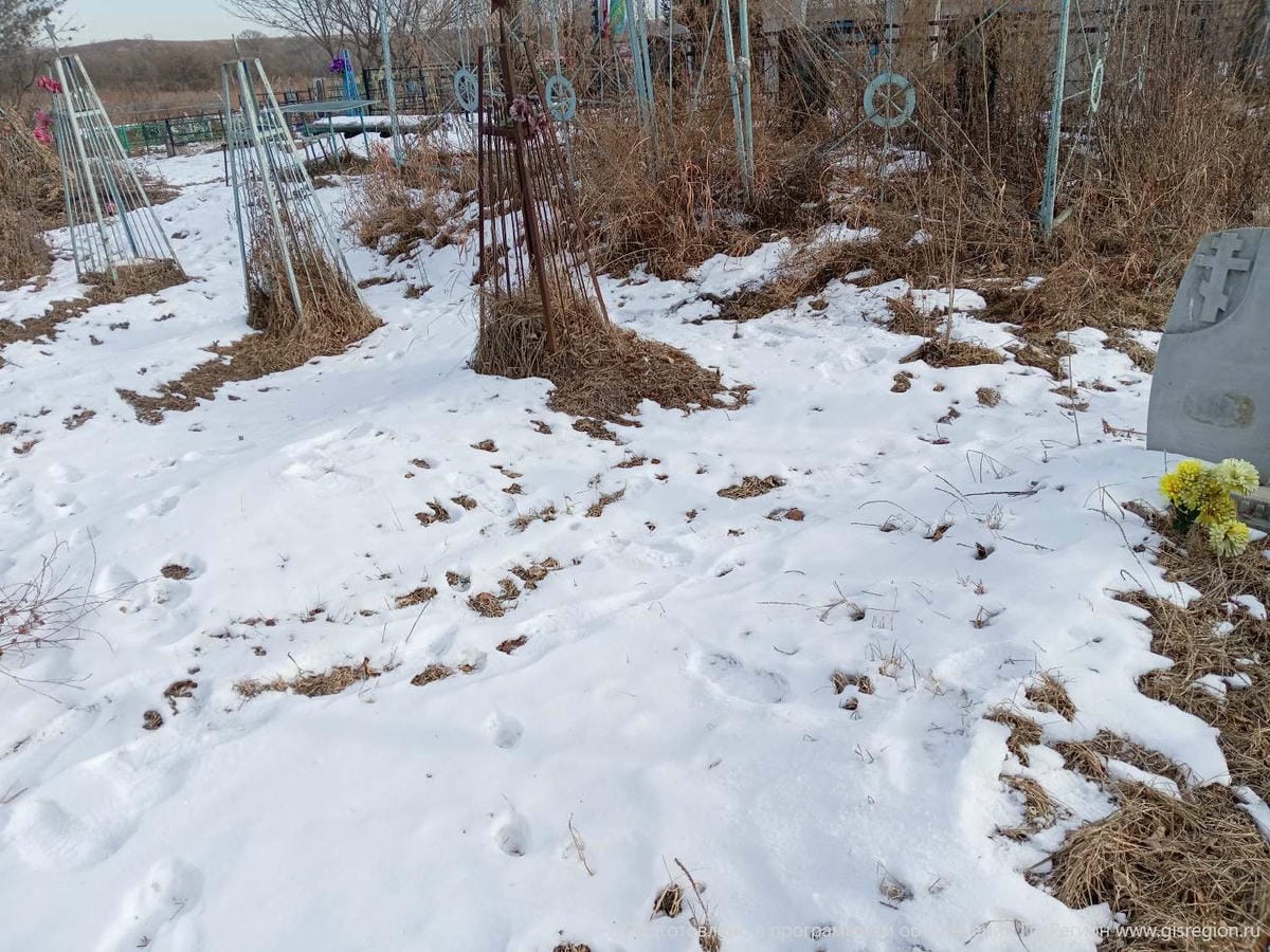 3643f837-f7a2-40a5-babd-dc86bb7d1d49 Неизвестно Неизвестно Неизвестно