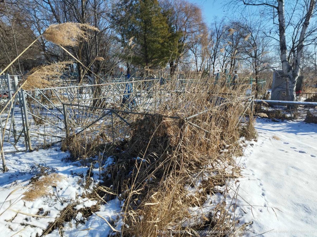 Коголевич Андрей Кузьмич