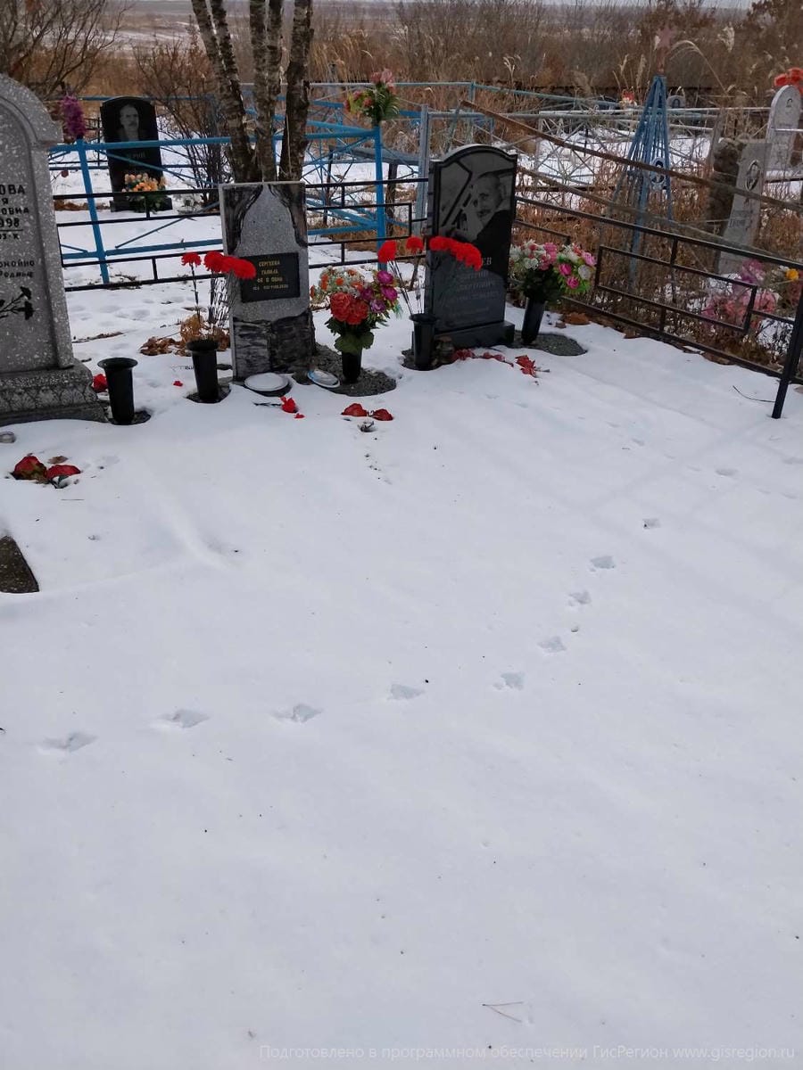 Сергеев Дмитрий Альбертович