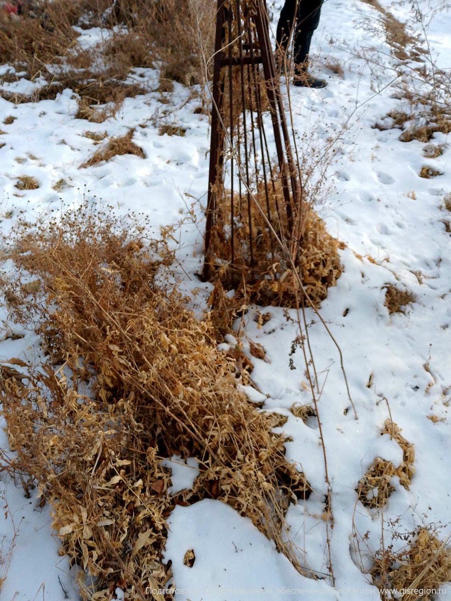 39684a53-df1a-431a-90d1-a3e19de7d8c7 Неизвестно Неизвестно Неизвестно