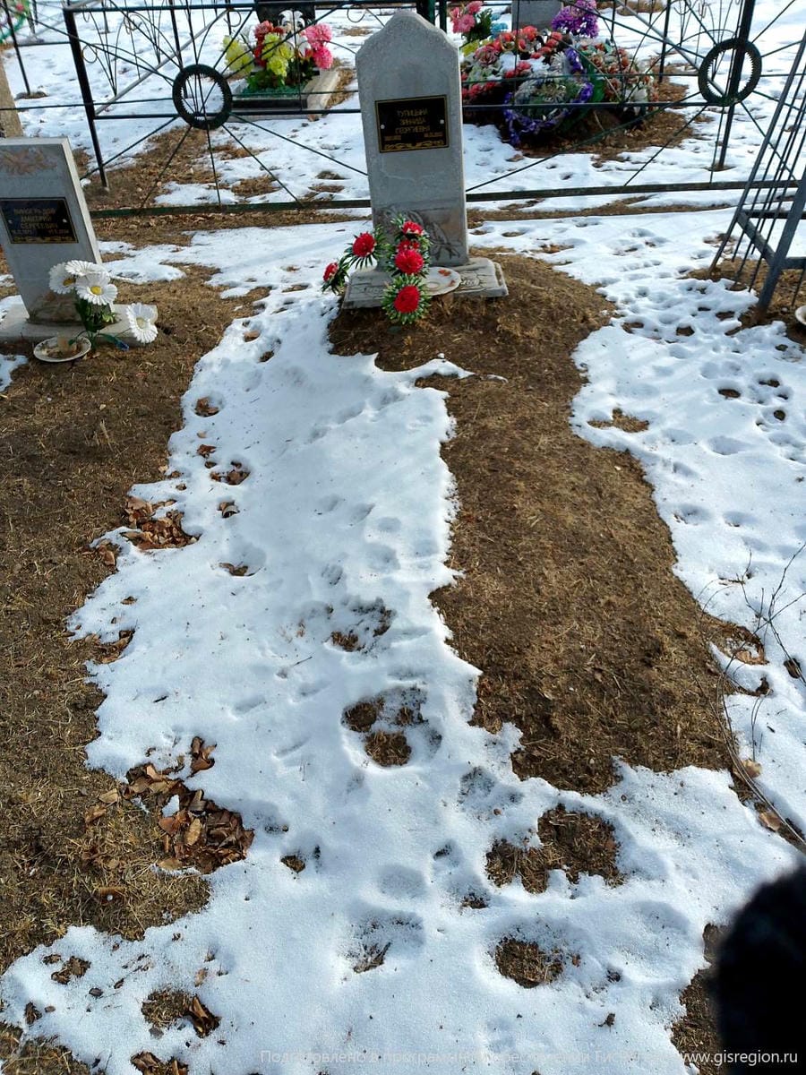 3a766bad-d6f3-4f65-a34d-1841c9ad1d16 Тупицына Зинаида Георгиевна