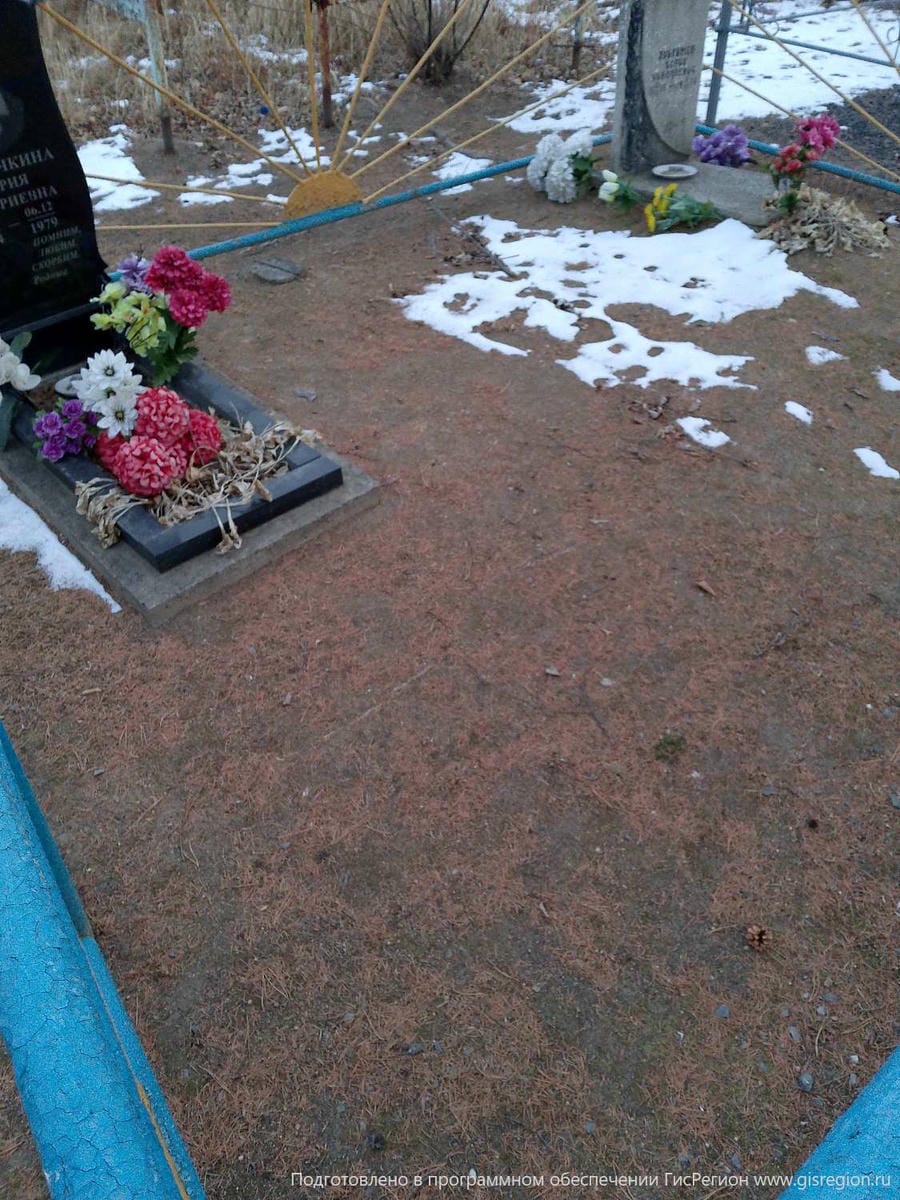 3c8358bf-1389-4cdf-833b-2df9b397ae7f Анисимов Борис Николаевич