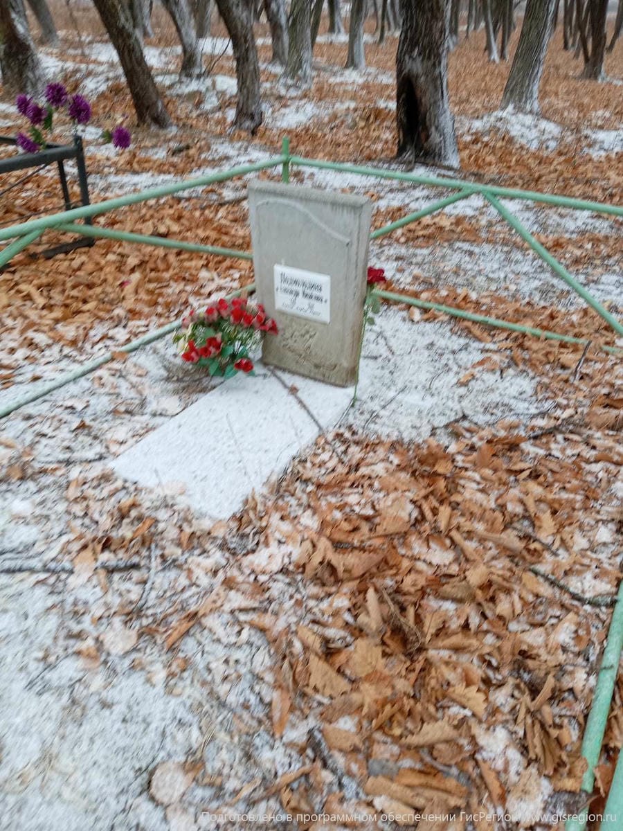 Подмолодина Александра Михайловна