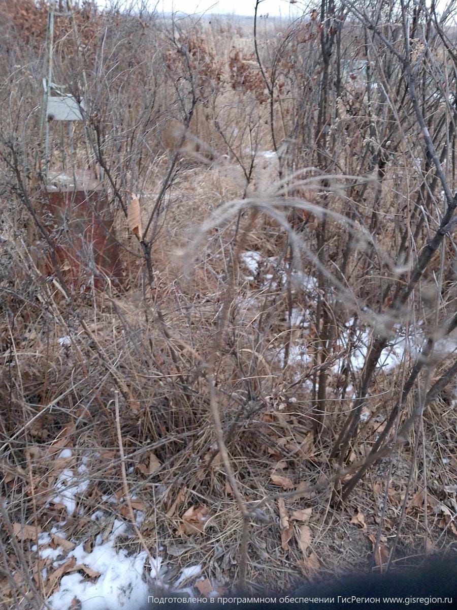 Карпов Григорий Васильевич