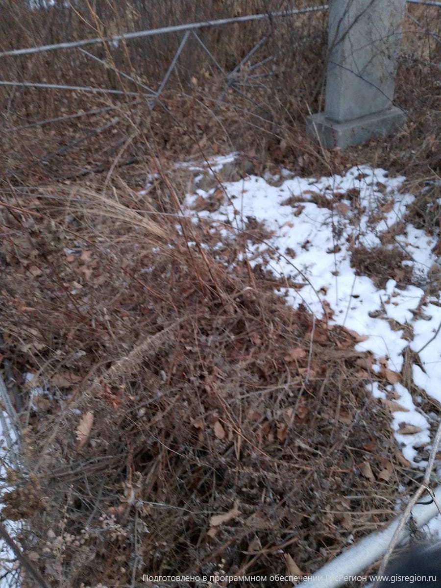 476ef43e-e6c6-49e5-a3bb-bc9fdecffe65 Шаповалова Вера Владимировна