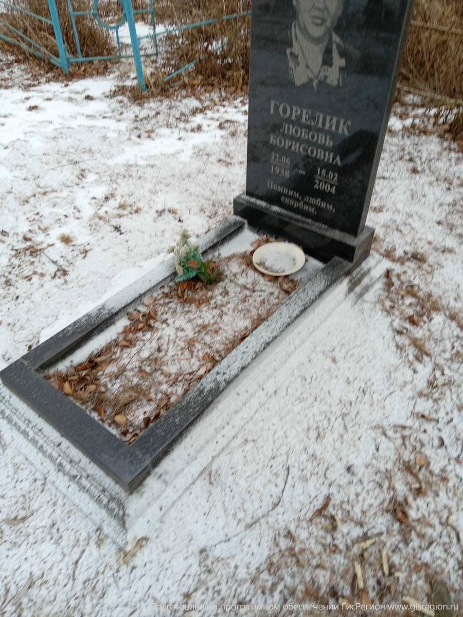 51995dec-8119-4fc8-95b8-6cb6a86059fe Горелик Любовь Борисовна