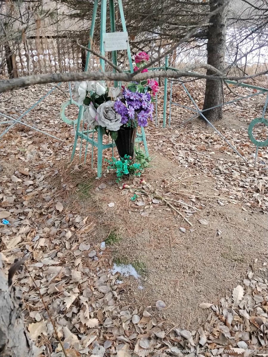 5280b9ea-8e12-47f8-88b8-a51529dc592d Красовская Ольга Владимировна