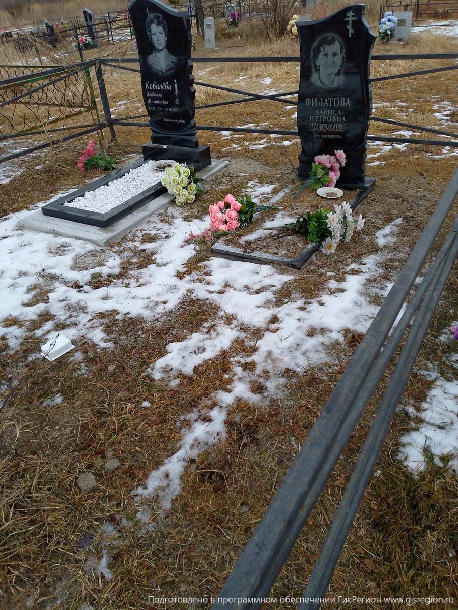 530ecd93-b85a-494d-82b0-5007f524062f Филатова Лариса Петровна