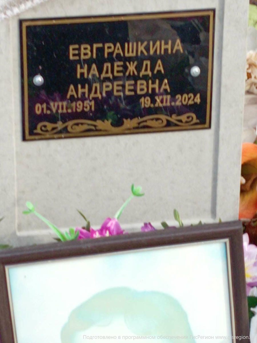564b7053-dd31-41e1-8b1c-4e0823a19d5f Евграшкина Надежда Андреевна