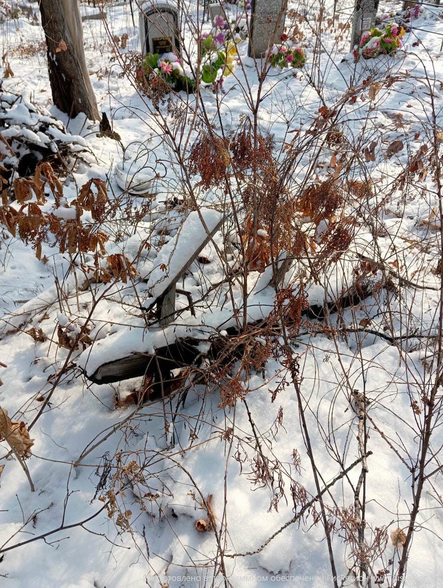 58a7760c-21bb-4c41-8e86-54df2a3b50e7 Неизвестно Неизвестно Неизвестно