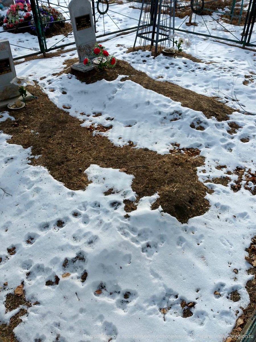 5f75183b-47d5-4fe3-9d67-0e18708076db Тупицына Зинаида Георгиевна