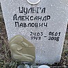 Шульга Александр Павлович