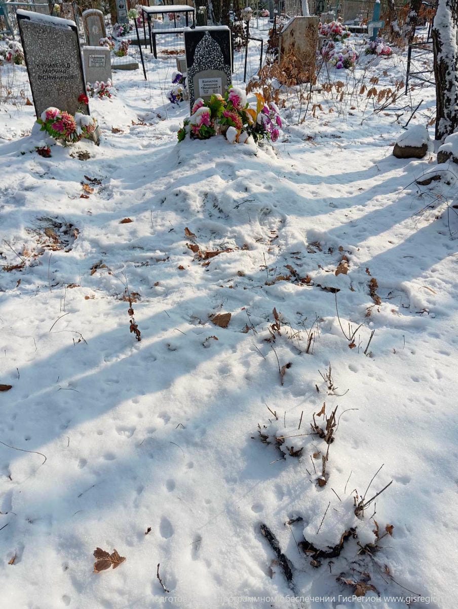 6e4062f7-a5e3-4339-a389-aaebc46a63e5 Неизвестно Неизвестно Неизвестно