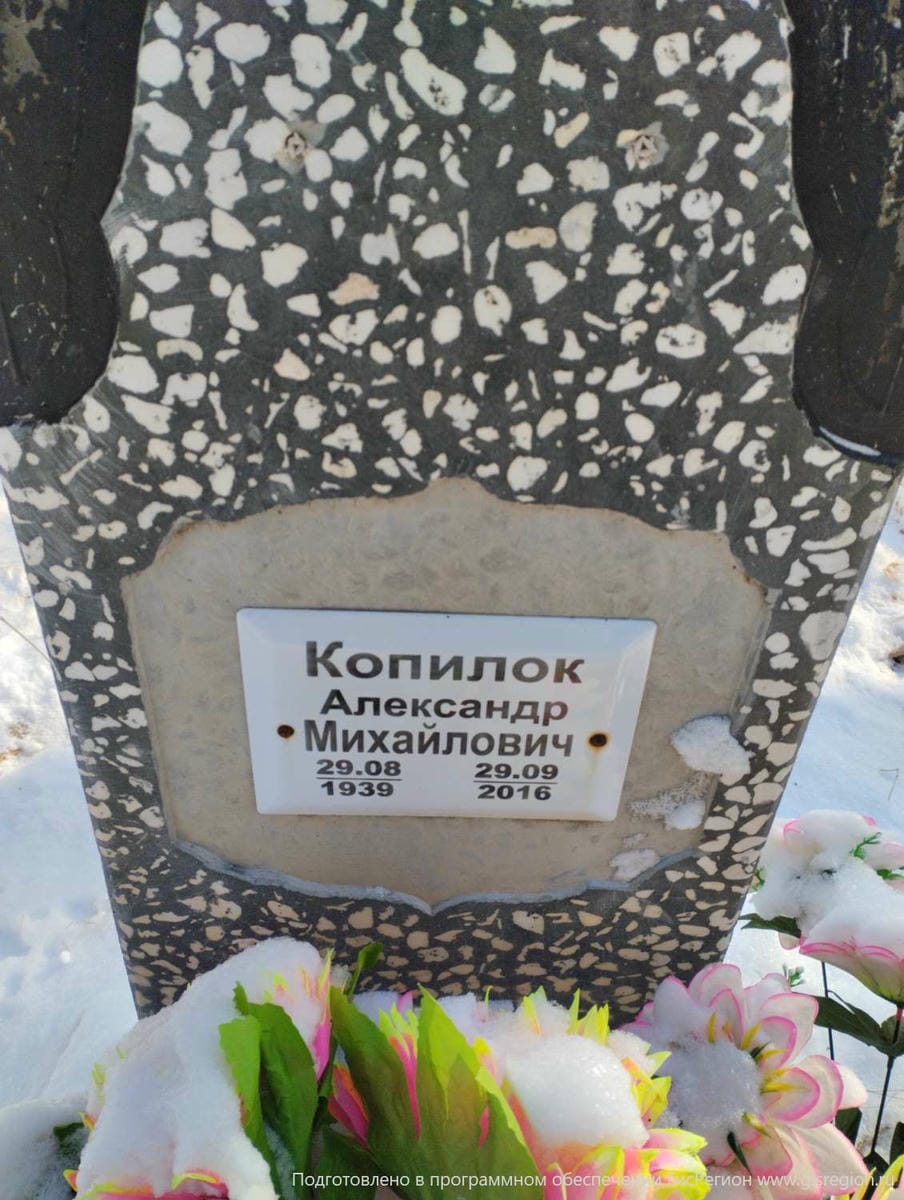 6f157450-7e92-40e3-9792-3c71c40220cf Копилок Александр Михайлович