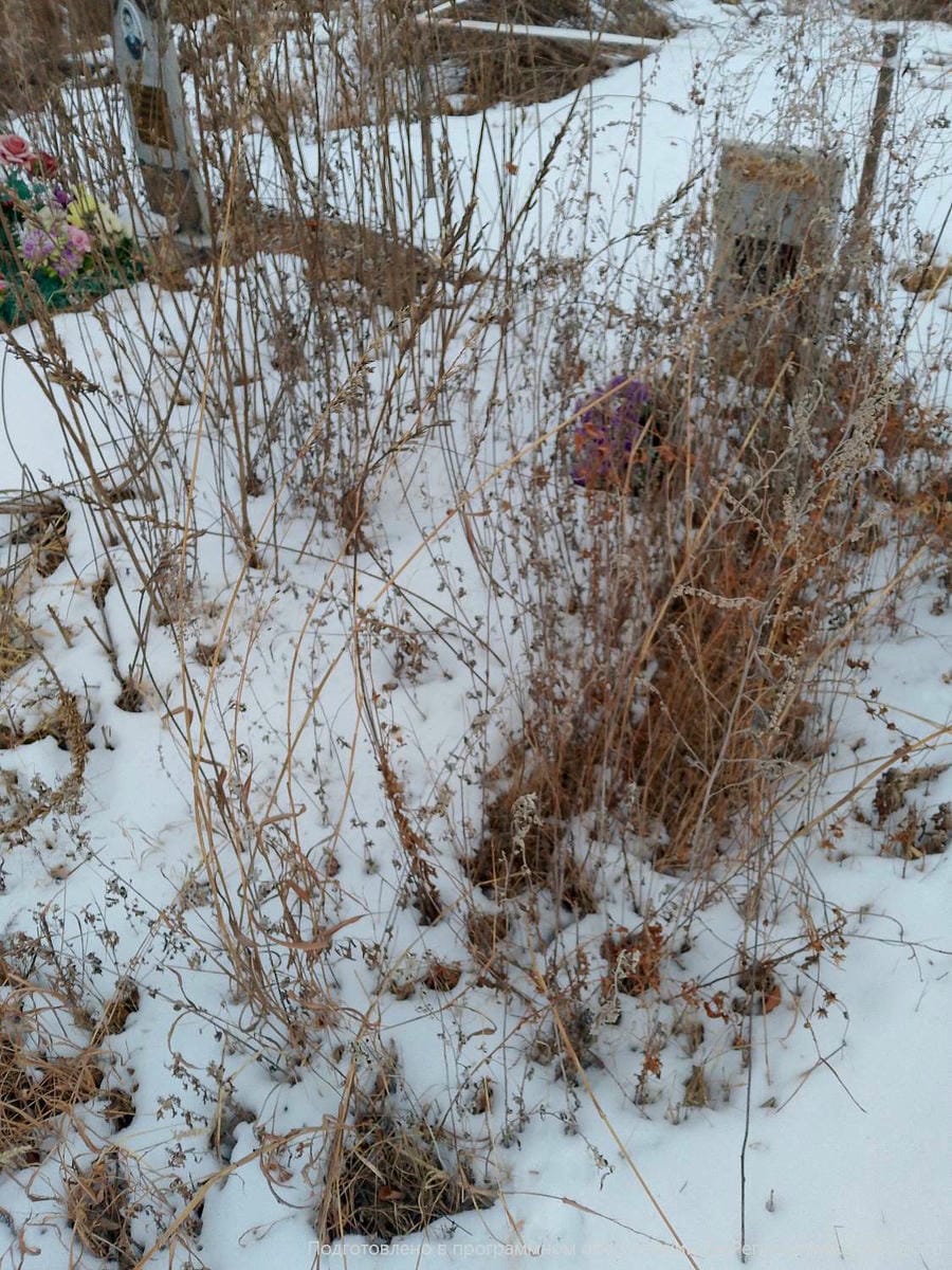 Долженко Александра Михайловна