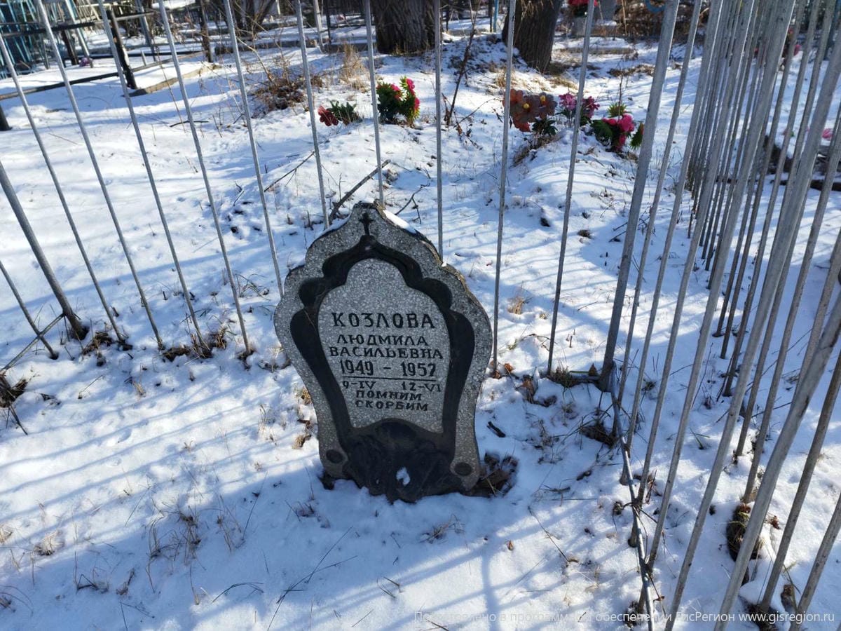 73931741-ce0f-49da-9450-795b51a2b482 Козлова Людмила Васильевна