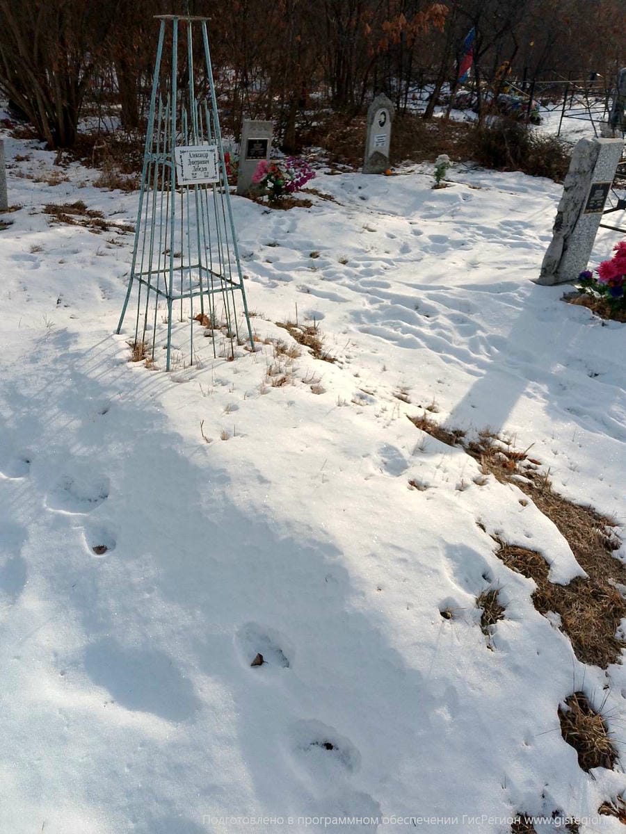 Сергеев Алексей Алексеевич