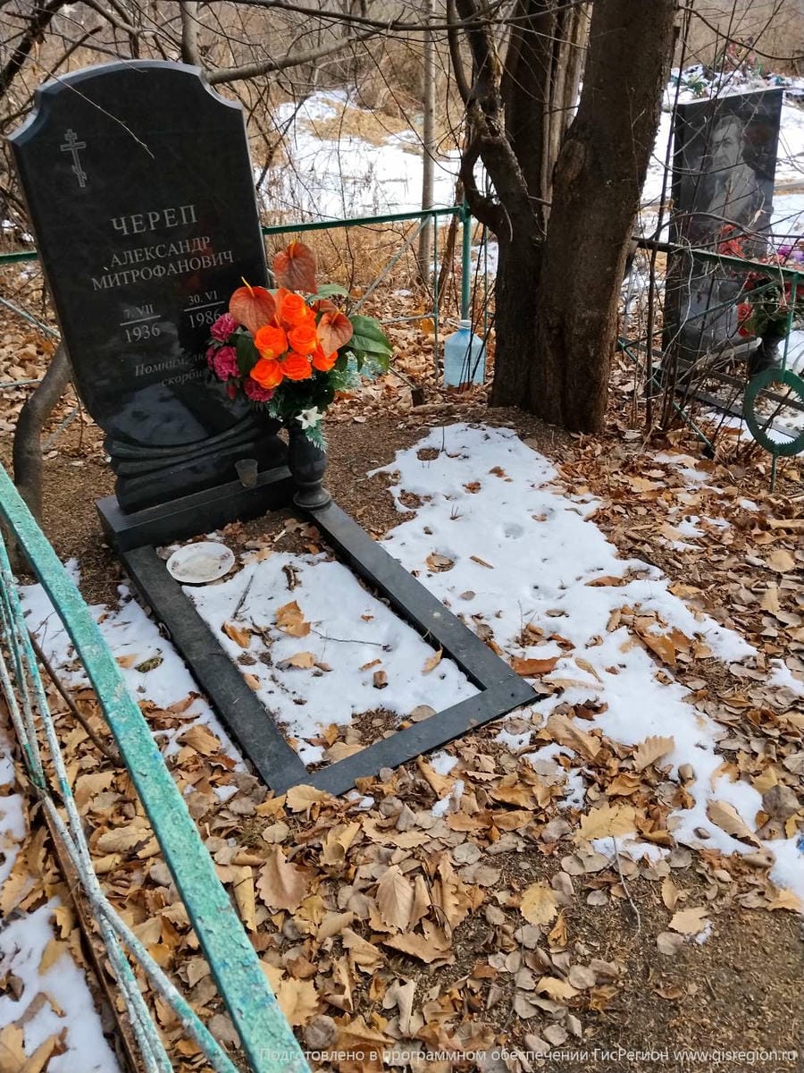 Черепн Александр Митрофанович