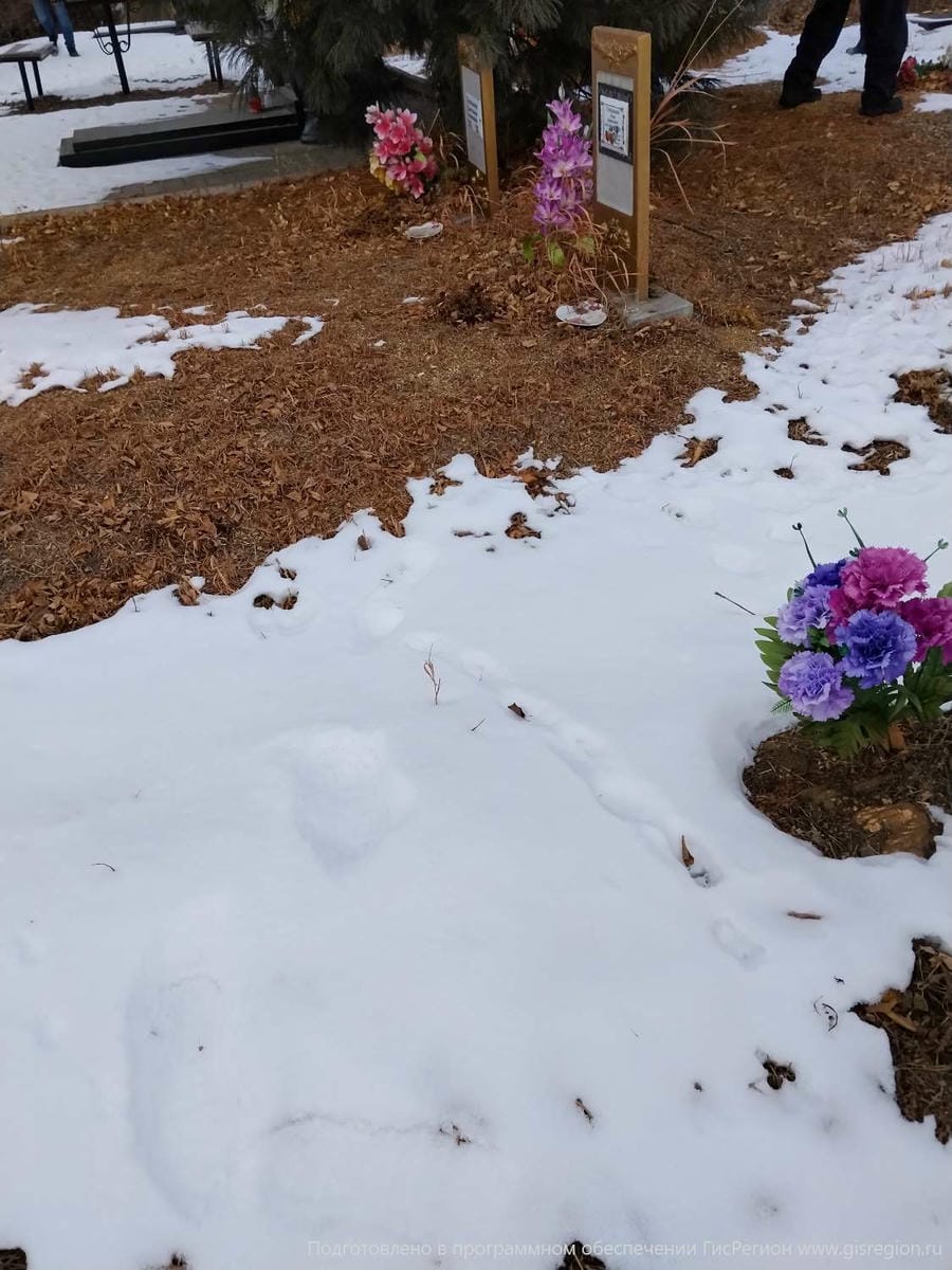 Супонькина Светлана Алексеевна