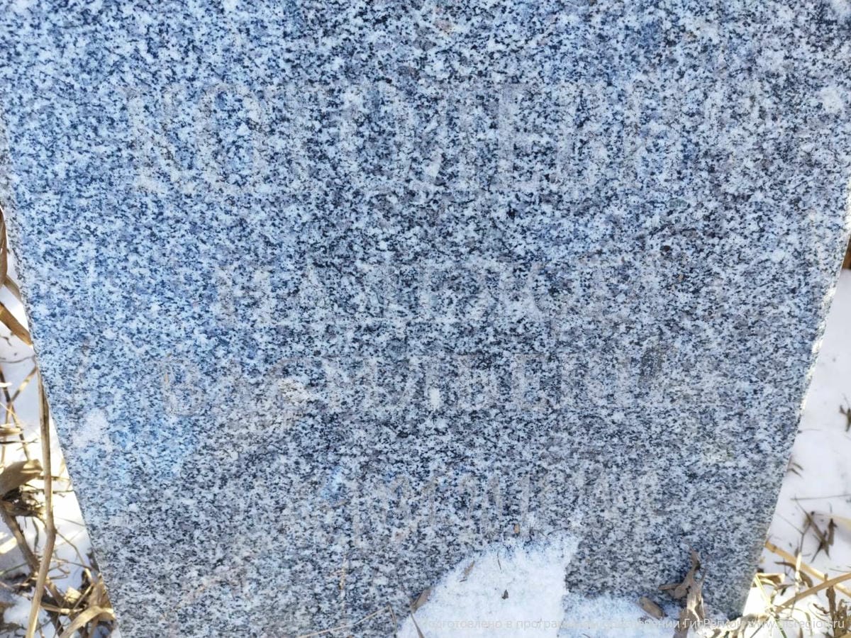 81785f32-4a80-426f-b6f2-4231cba74bc4 Шнолева Надежда Васильевна