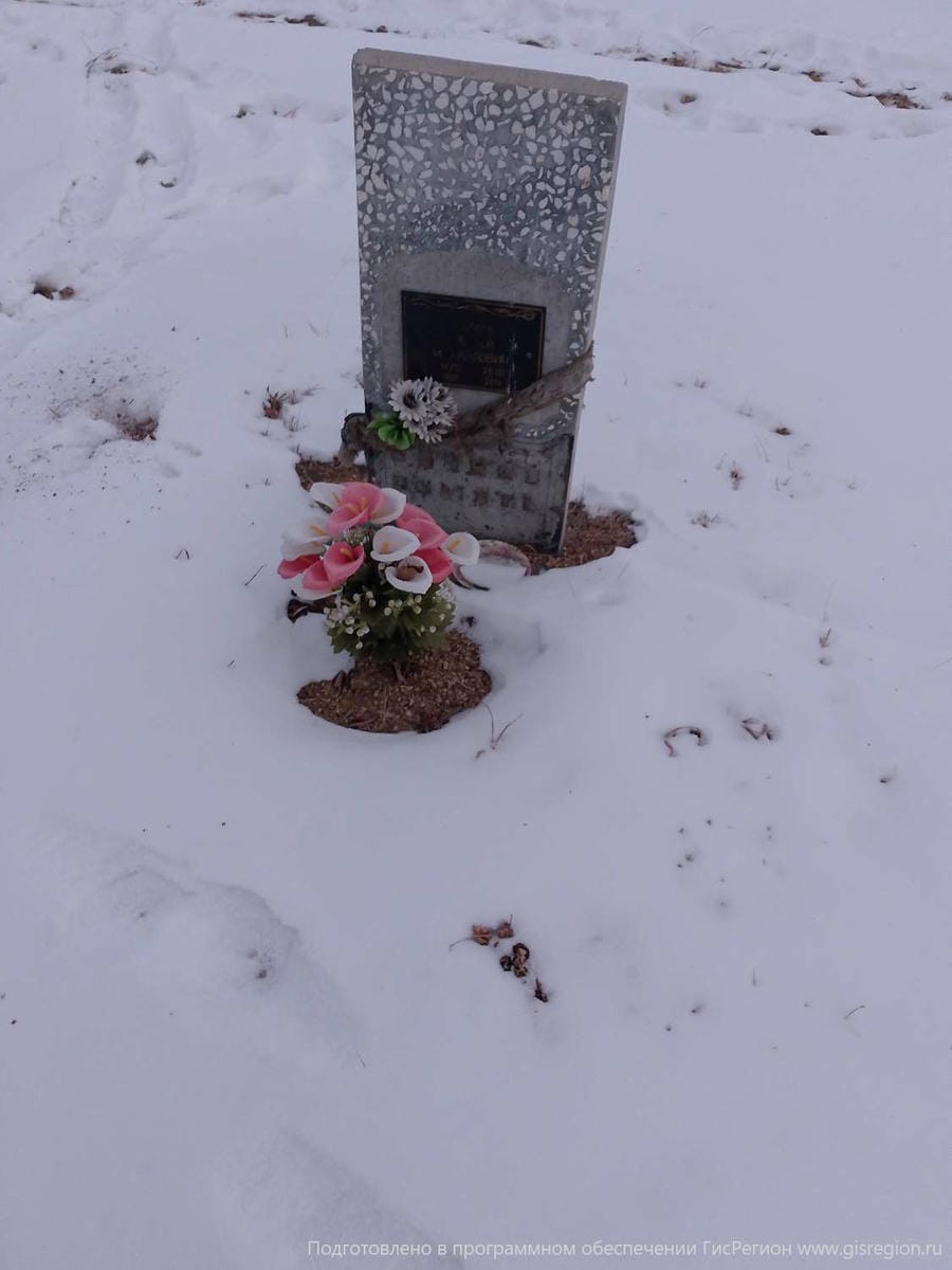 838dc9c8-d102-4b21-965a-f3ae43b6bd63 Неизвестно Сергей Михайлович