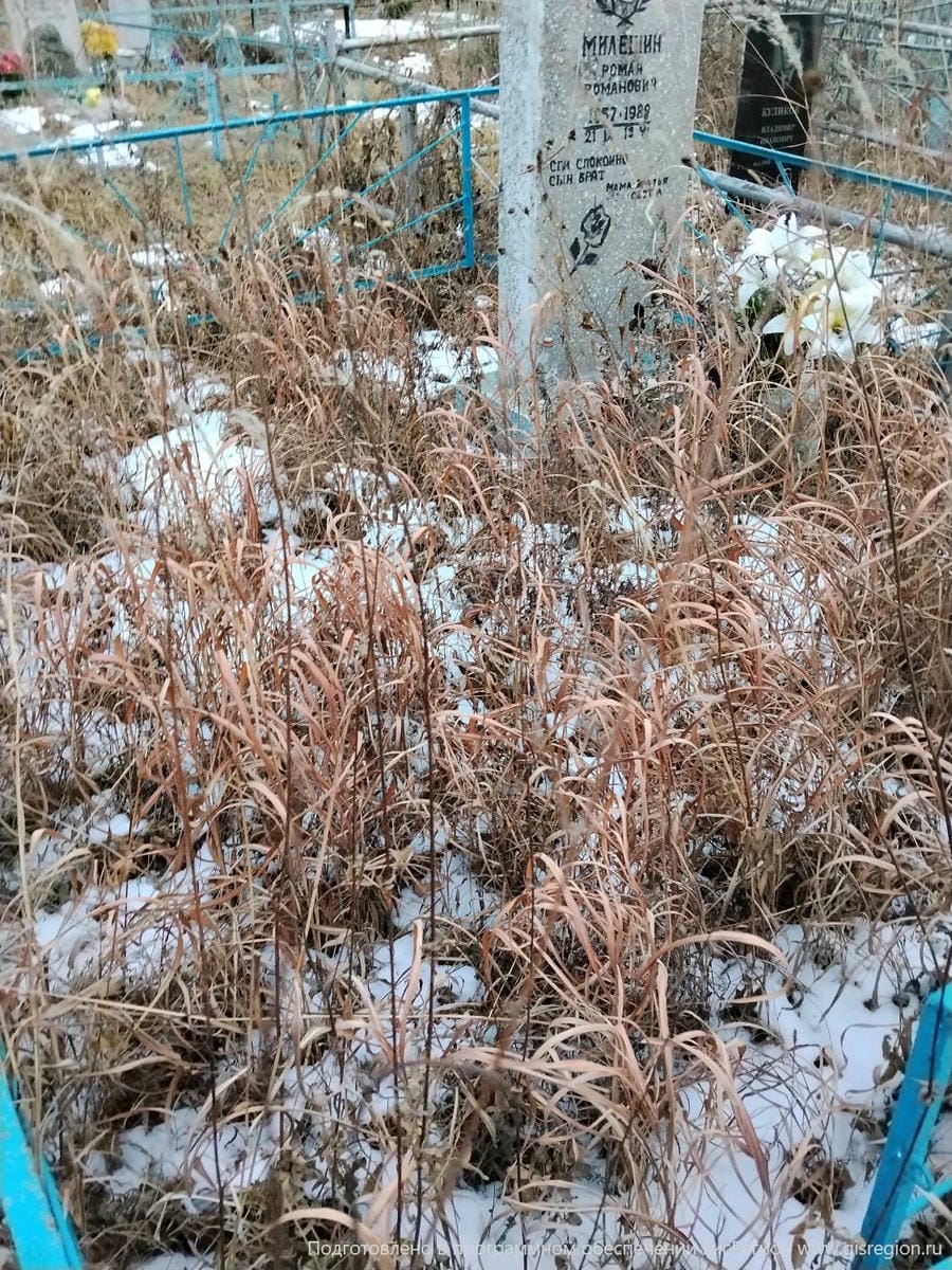 8653c819-0c49-4120-a269-3ebe1b59db96 Милешин Роман Романович