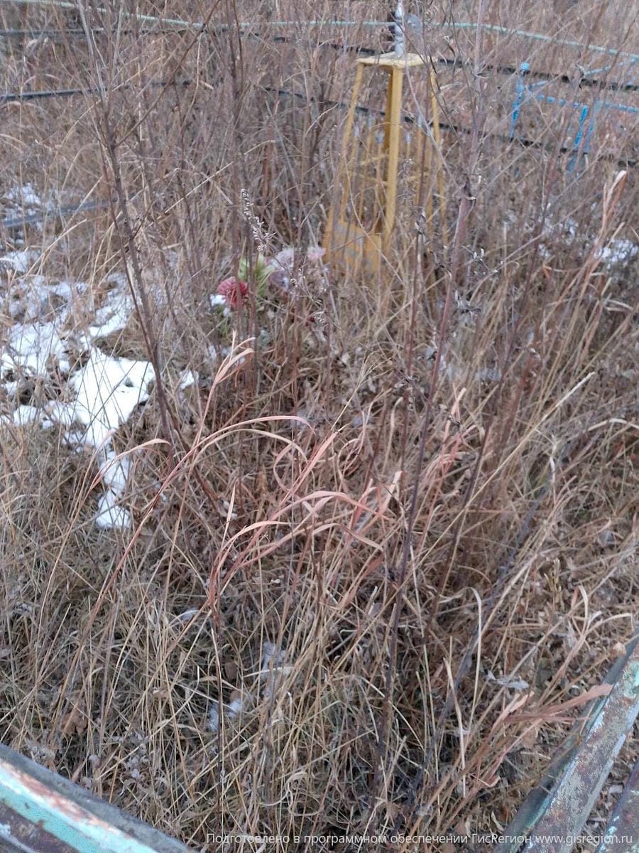 87bde34a-81a6-4b97-9089-75a8df52d42b Лосев Алексей Неизвестно