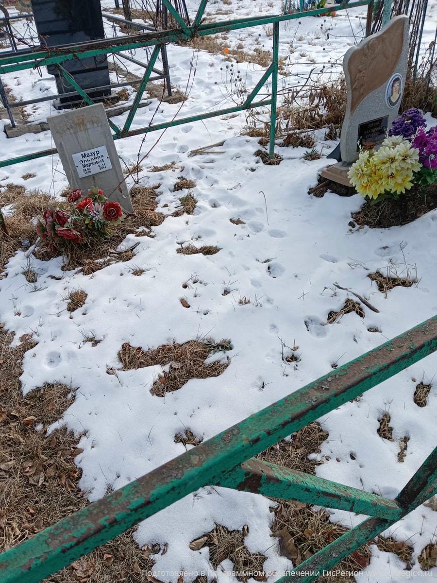 89a1316e-c840-4c1e-a1b6-f1b582d188f4 Зорина Екатерина Юрьевна