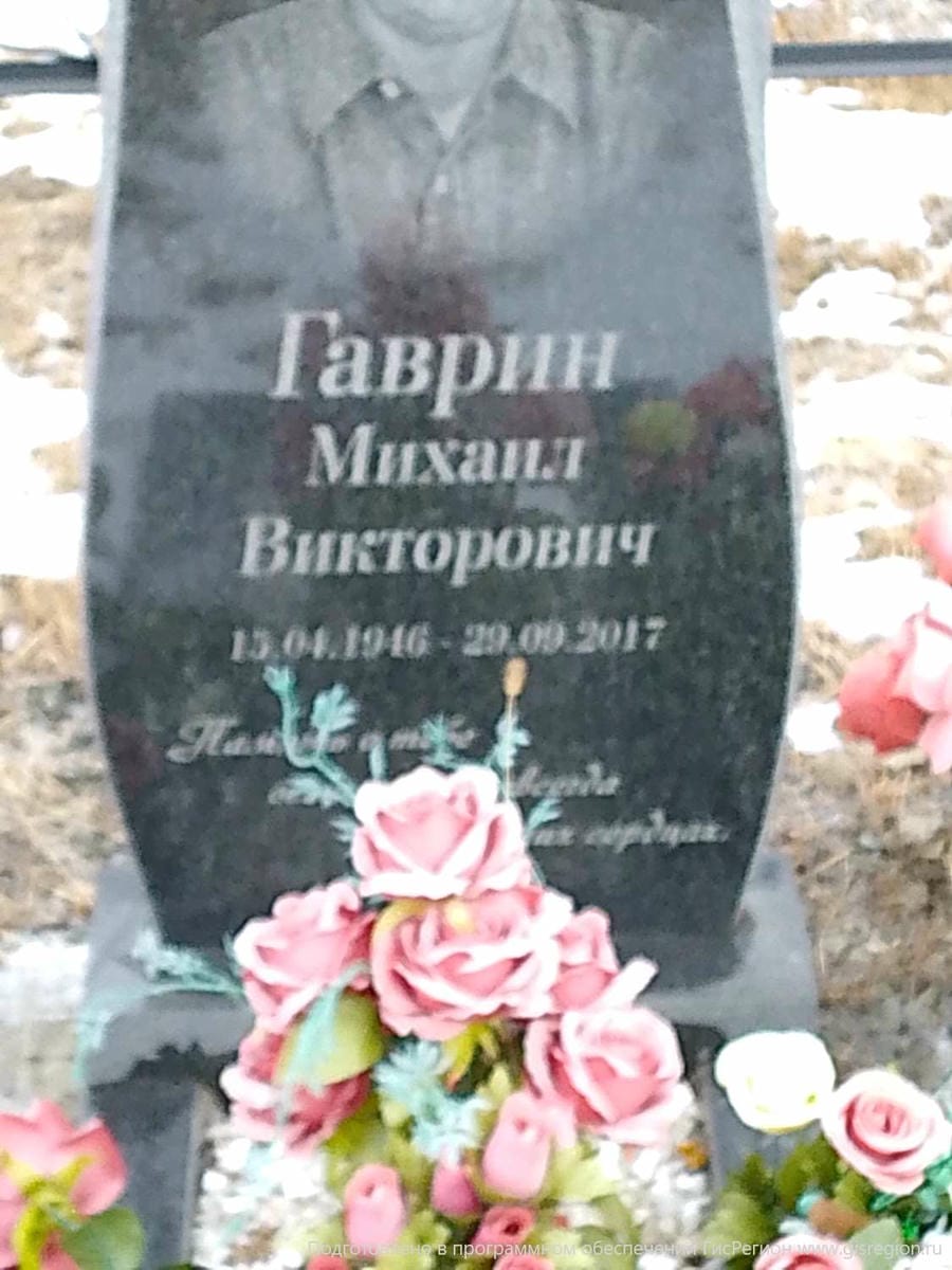 8c7b9be3-9722-477f-98e8-7dc79ad1f4c7 Гаврин Михаил Викторович