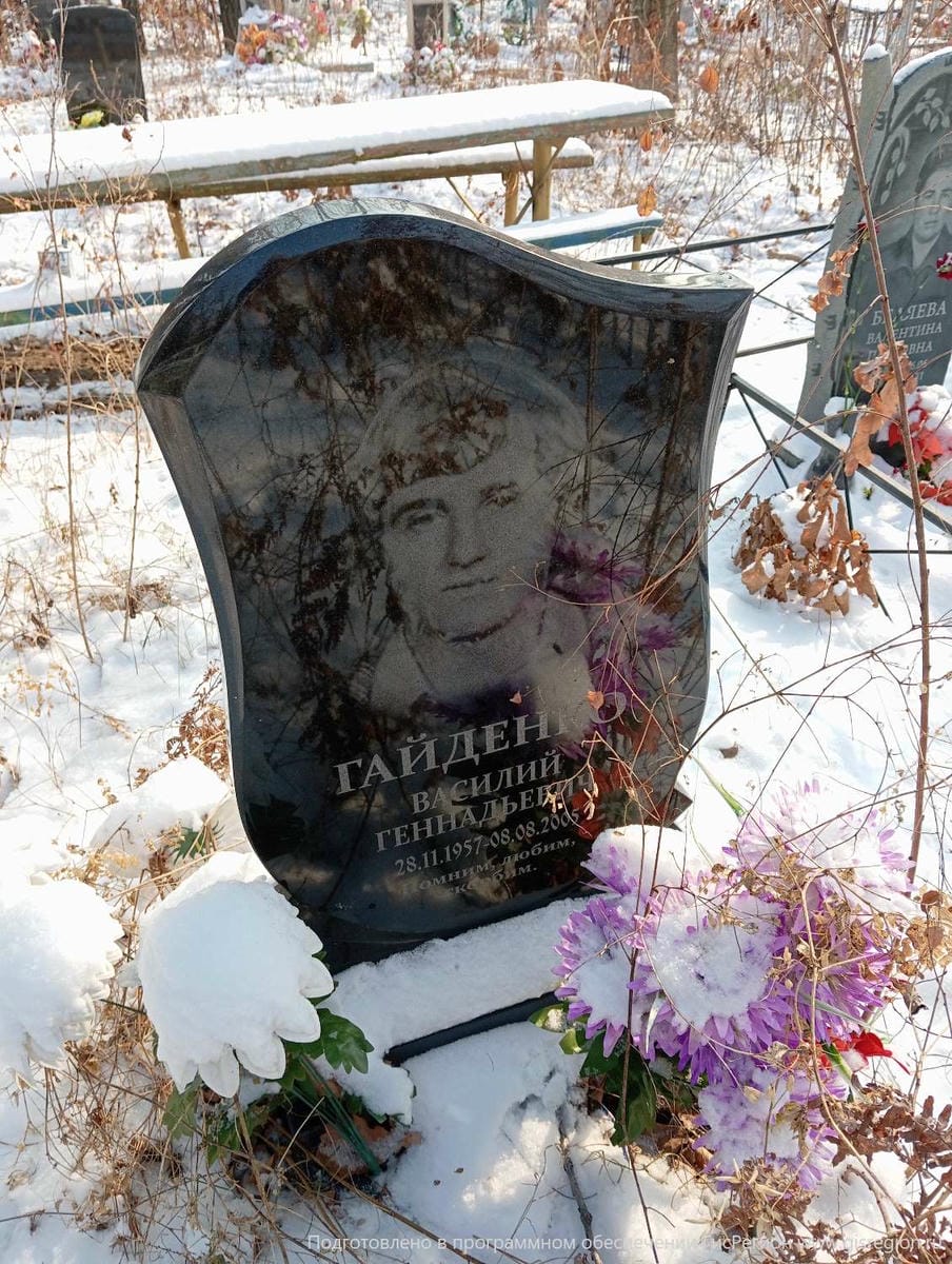 914d7b3c-e28b-49d7-ba17-008aa6667d9f Гайденко Василий Геннадьевич