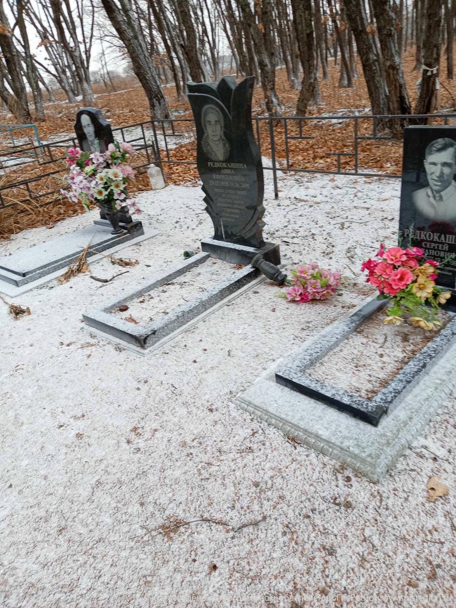 Редкокашина Анна Кирилловна