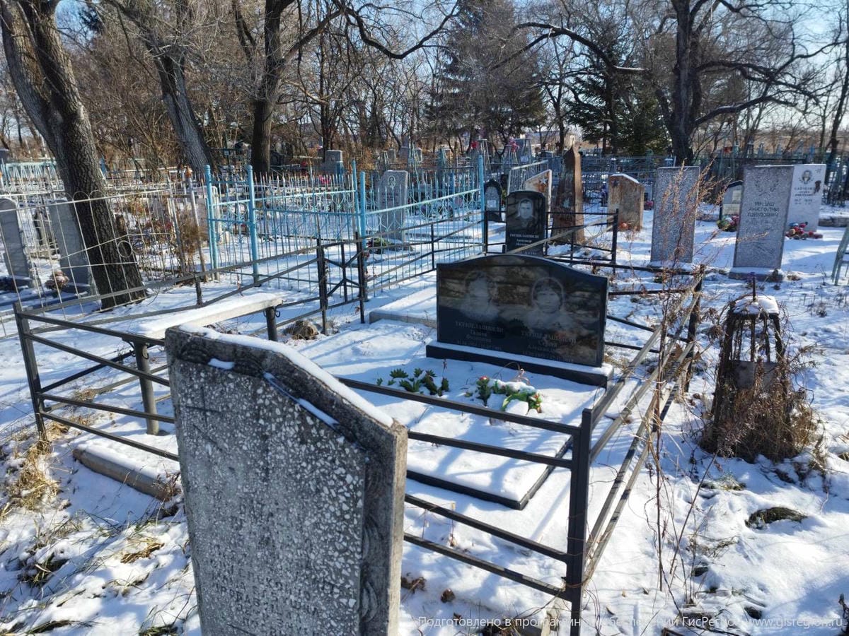 Ткешелашвили Александр Абесалович