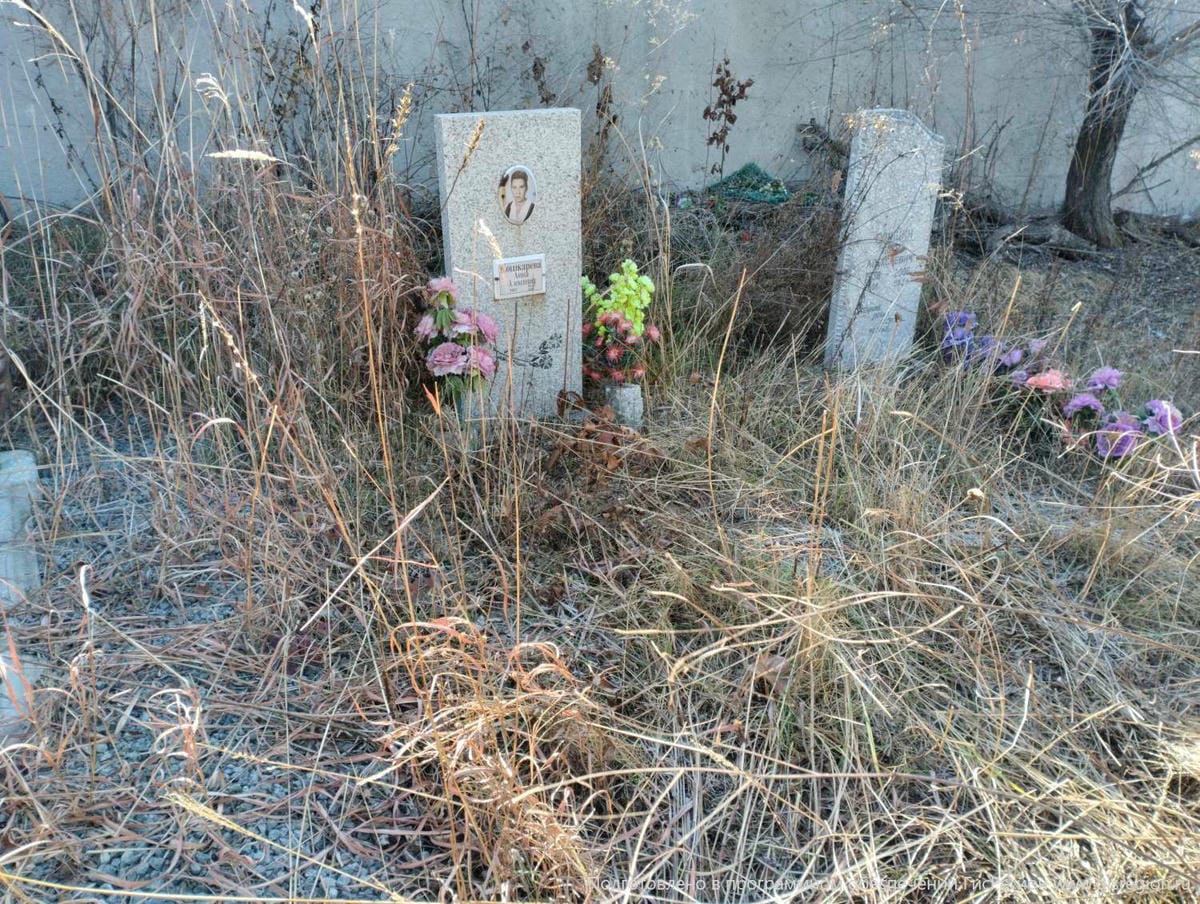 Кошкарева Анна Алексеевна