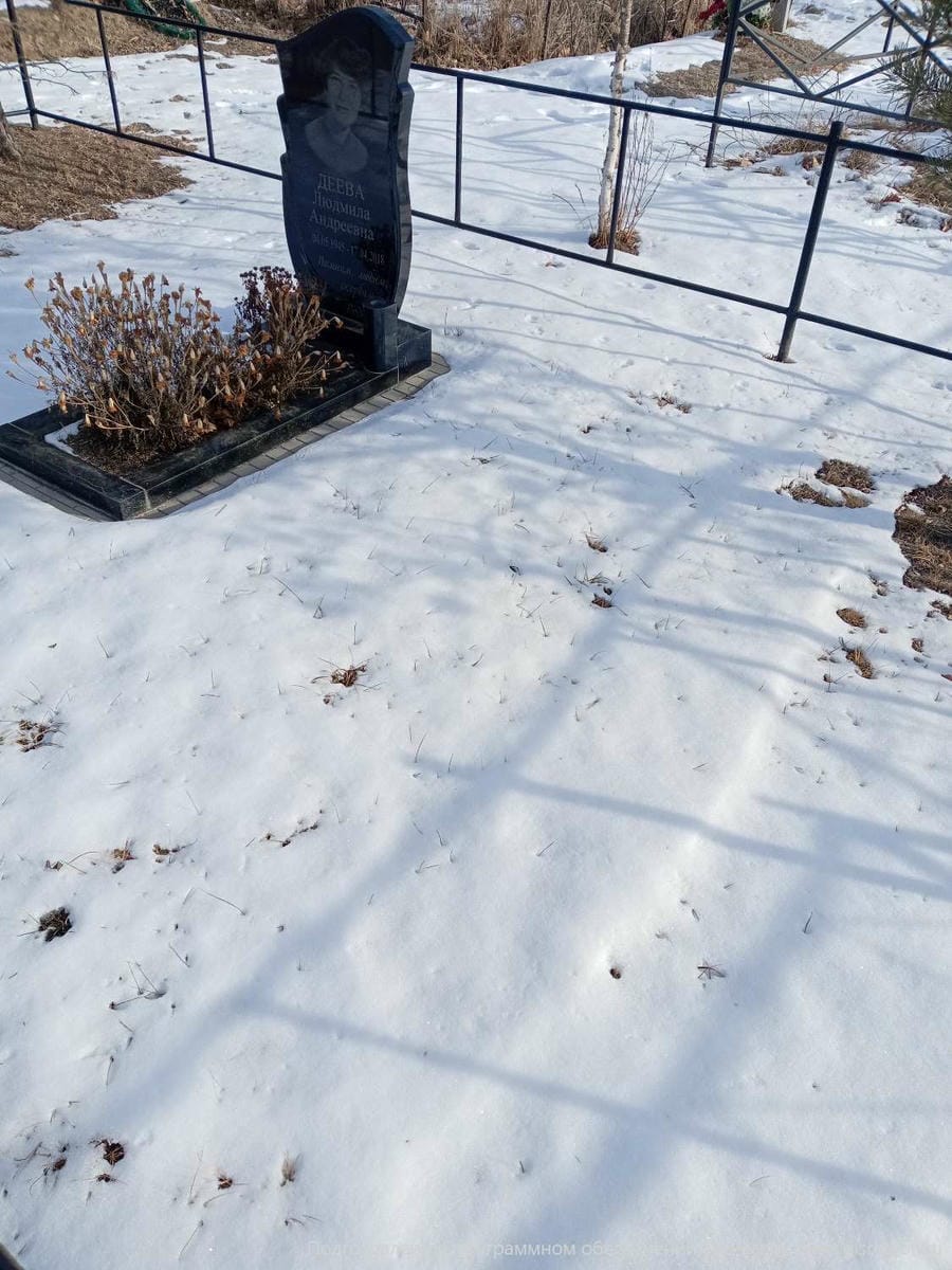 a26aa266-4708-4aaa-85e7-84da18a5e4cd Деева Людмила Андреевна