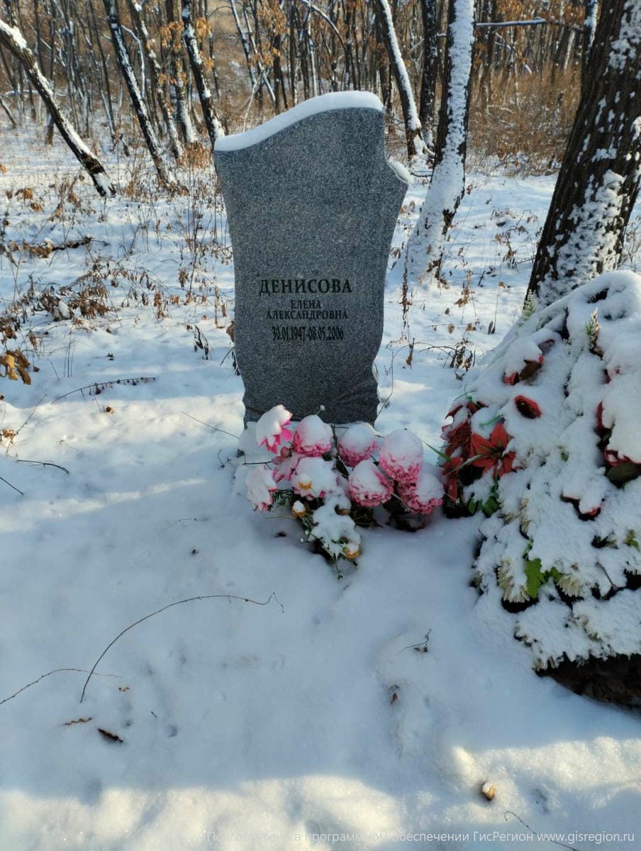 b3f85de8-91cb-41d6-809c-f861a851d176 Денисова Елена Александровна