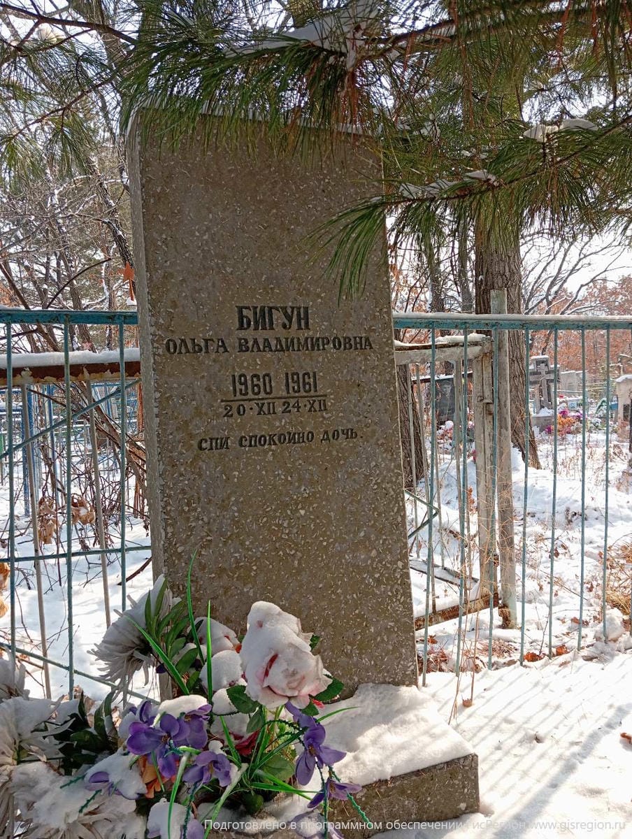 b5d783c9-7668-49c8-94ac-fc03659d78b0 Бигун Ольга Владимировна