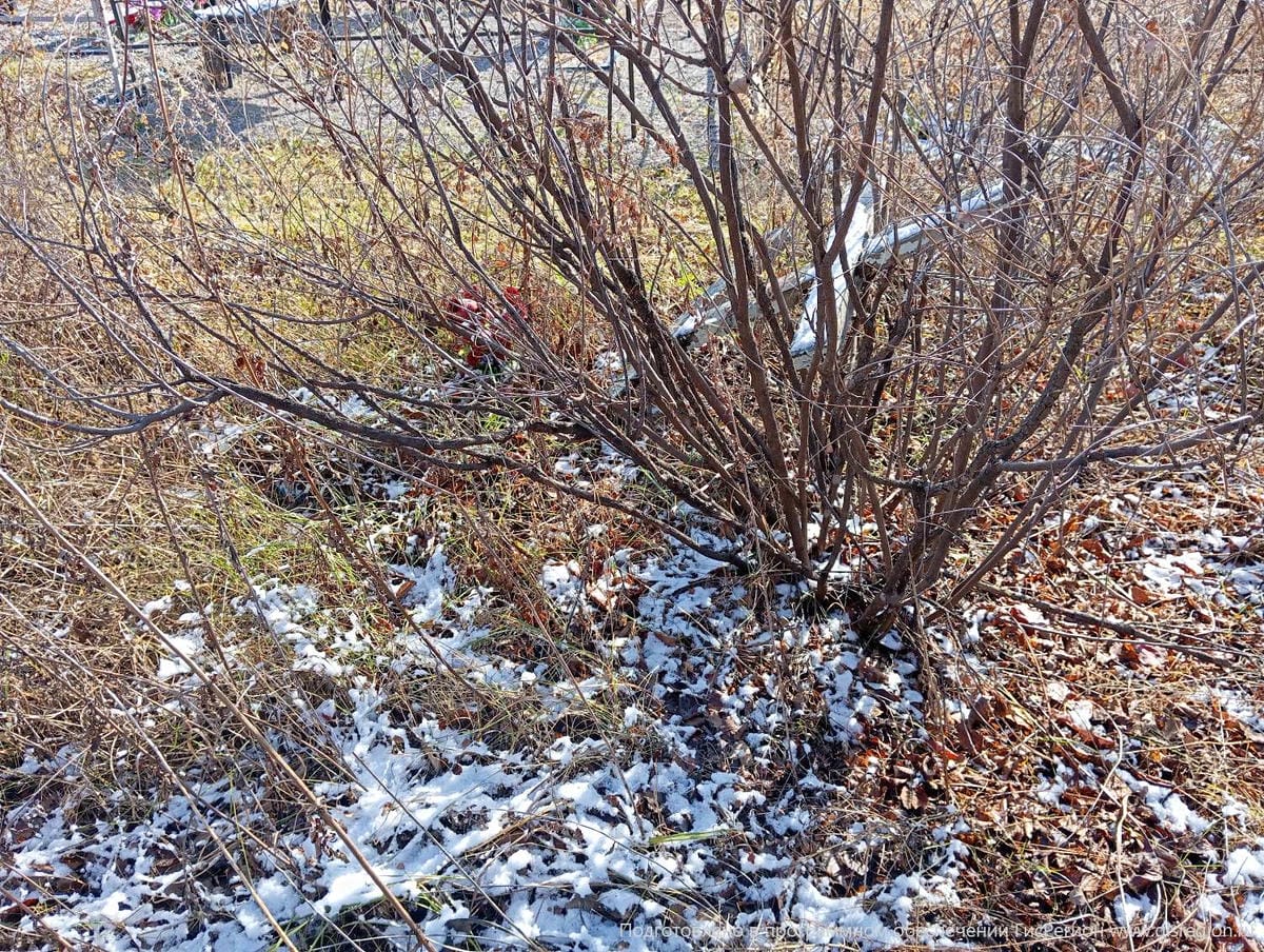 c5a28a32-77de-4549-aa30-45b483bf2821 Неизвестно Неизвестно Неизвестно