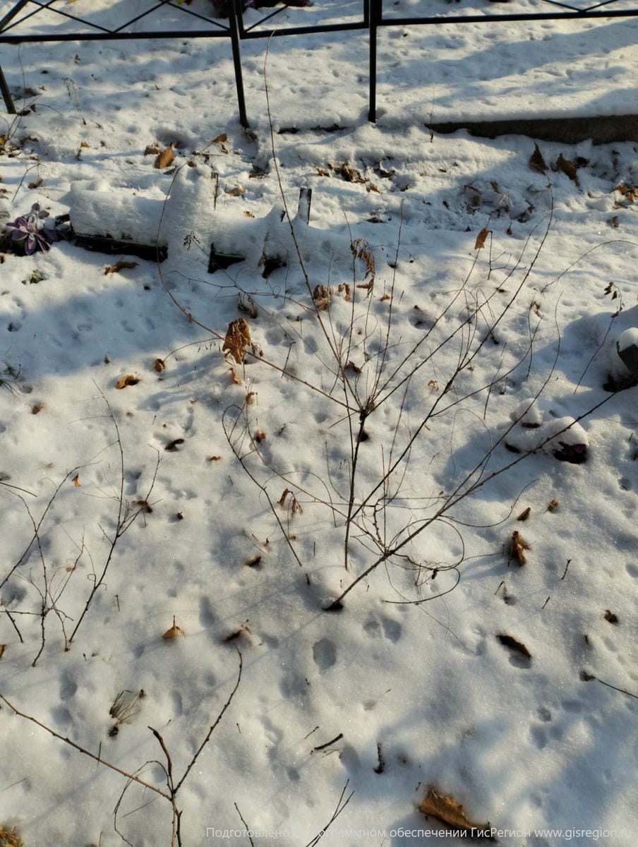 cad301df-6e5a-42cb-80d2-8e8c7a5f9994 Неизвестно Неизвестно Неизвестно