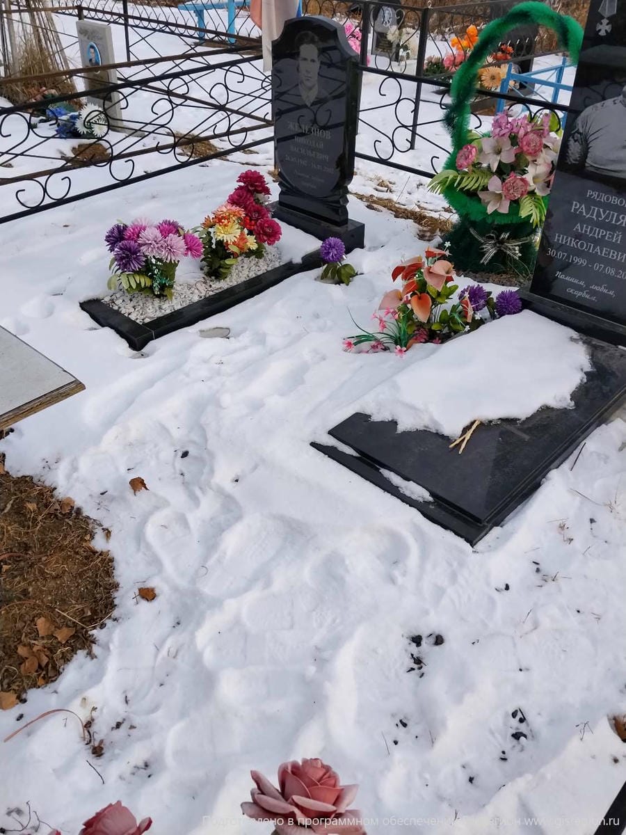 d03c607a-596e-4e9b-874c-2378c7b804ec Железнов Николай Васильевич