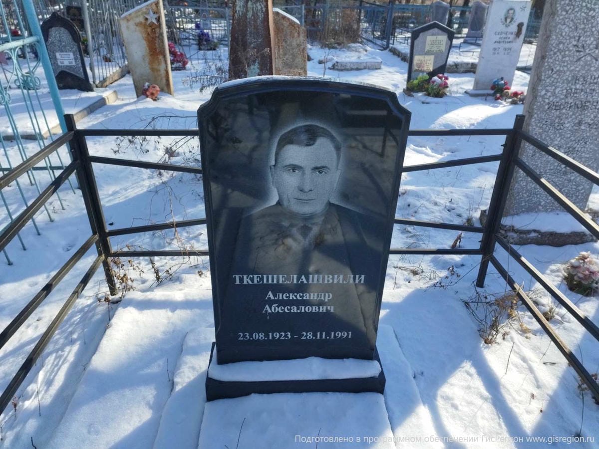 e7fa2bed-5dfe-47f1-93b4-8c0e4410db91 Ткешелашвили Александр Абесалович